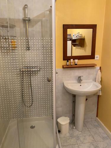 a bathroom with a sink and a toilet and a shower at Chambre 2 in Chalmazel Jeansagniere
