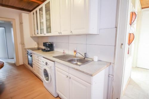 eine Küche mit einer Spüle und einer Waschmaschine in der Unterkunft Cozy Rooms in Pragerstrasse in Wien