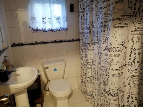a bathroom with a toilet and a sink and a shower curtain at Refugio de Tranquilidad: Cabaña de 2 Dormitorios con WiFi y Estacionamiento Privado en Río Bueno in Río Bueno