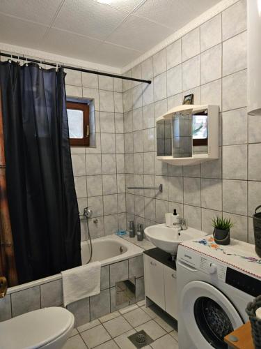 a bathroom with a sink and a washing machine at Cozy House Zivko with Balcony in Plitvička Jezera