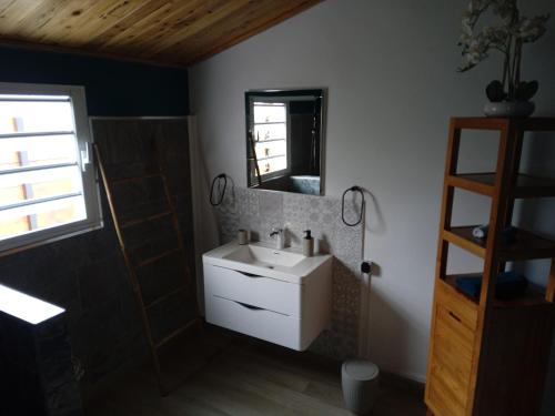 ein Bad mit einem Waschbecken und einem Spiegel in der Unterkunft Le djebel in Cilaos
