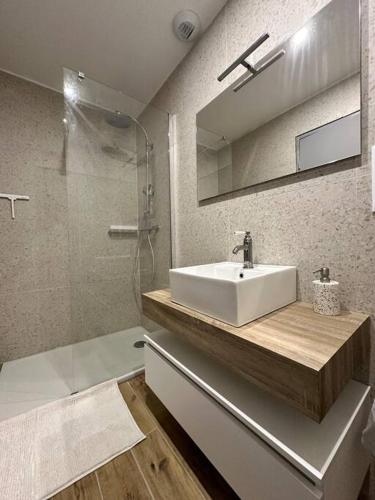 une salle de bain avec un lavabo, une douche et un miroir dans l'établissement L’ancienne ferme, à Sainte-Marie-aux-Mines