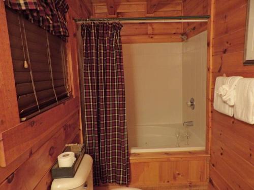 a bathroom with a shower and a toilet and a tub at Yogi's Den: Breathtaking Views! 3 min to Dollywood, on 1 acre! in Sevierville