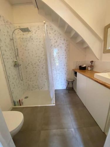 une salle de bain avec une douche, des toilettes et un lavabo dans l'établissement Gîte au coeur du vignoble de Saint-Emilion, à Saint-Sulpice-de-Faleyrens