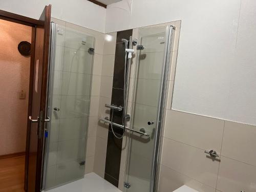 a shower with a glass door in a bathroom at Monteurzimmer am Holzbach in Maroth