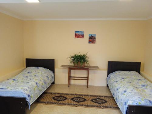 拉戈代希的住宿－LeoSani，一间设有两张床和一张植物桌子的房间