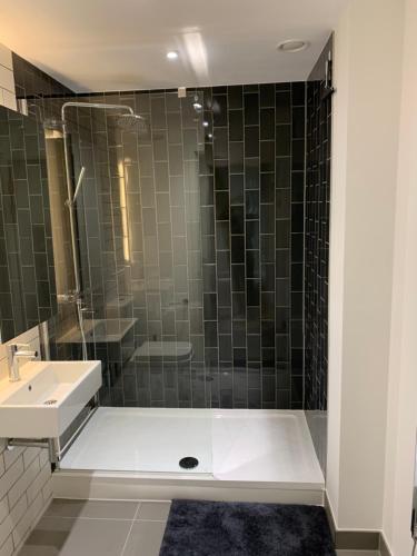 a bathroom with a shower and a sink at 2 BED 4 ADULTS IN ROYAL WHARF in London