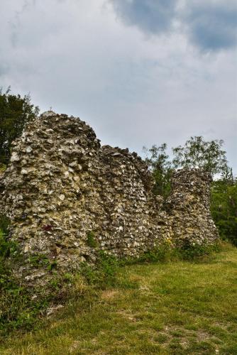 a stone wall in a field with trees in the background at The Black Horse Inn in Maidstone