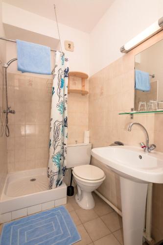 une salle de bain avec toilettes, lavabo et douche dans l'établissement Studi-Hôtel Résidence Plein Voile, aux Salles-sur-Verdon