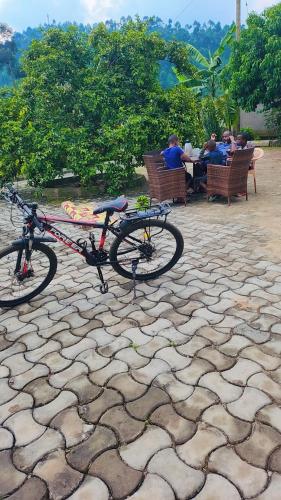 a bike parked on a stone patio with people sitting at a table at Muhabura view imfizi farmhouse in Kisoro