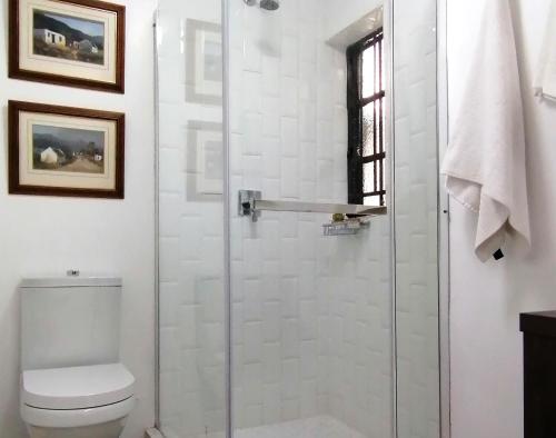 a bathroom with a shower with a toilet at The Melville Quarters in Johannesburg