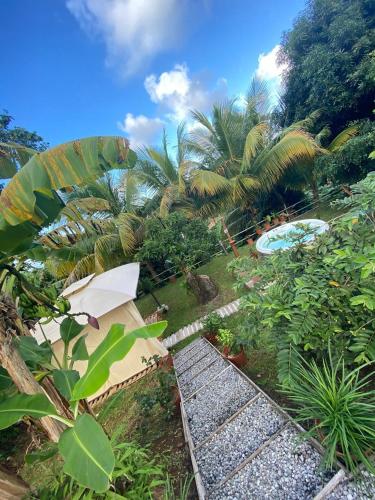 einen Garten mit Palmen und einem Fußweg in der Unterkunft La Petite Maison de Marie in Sainte-Marie