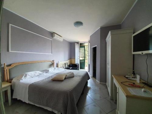 a bedroom with a bed and a desk and a television at Hotel Fedora in Florence