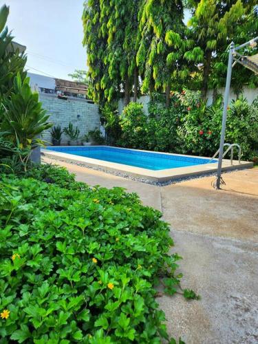 - une piscine dans une cour agrémentée de plantes dans l'établissement Escapade dans un jardin avec piscine, à Lomé