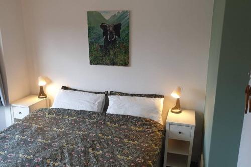 1 dormitorio con 1 cama con 2 lámparas y una pintura en la pared en Entire house in Sherwood, Nottingham, en Nottingham