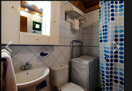 a bathroom with a toilet and a sink and a mirror at Casa las toscas in Calera