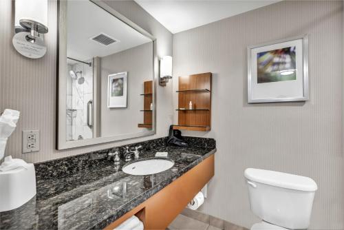 a bathroom with a sink and a toilet and a mirror at Delta Hotels by Marriott Mount Pleasant in Racine