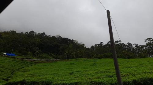 a pole in a field of green grass at Nanma East Fort in Mūvattupula
