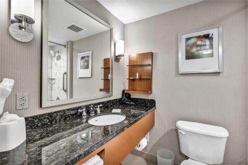 y baño con lavabo, aseo y espejo. en Delta Hotels by Marriott Racine, en Racine