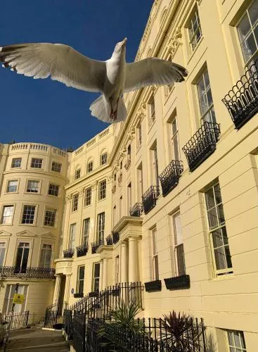 Lansdowne House Hove photo 59