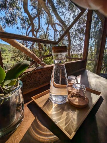 a glass vase on a tray with two glass jars at Magical Treehouse in Lagos