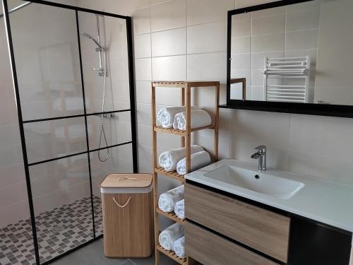 ein Bad mit einem Waschbecken und einer Dusche in der Unterkunft Maison à la campagne in Villiers-sur-Tholon
