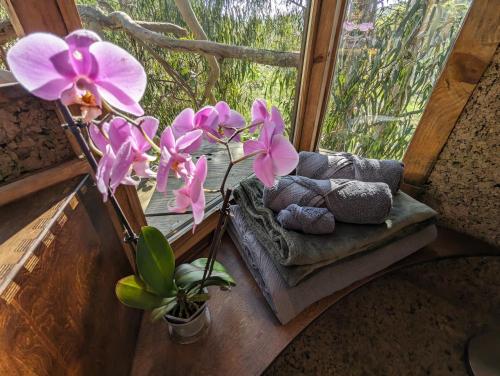 a window with pink flowers and rocks in it at Magical Treehouse in Lagos