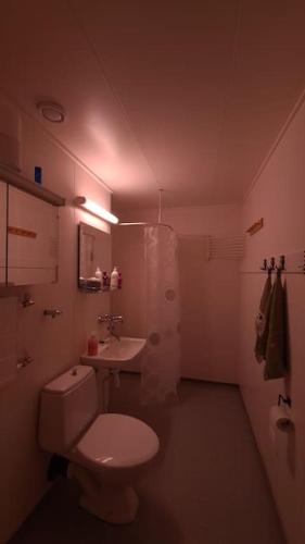 a bathroom with a white toilet and a sink at Tilava huoneisto Jyväskylästä in Jyväskylä