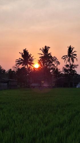 einen Sonnenuntergang auf einem Feld mit Palmen in der Unterkunft The Sari Pulagan Villa in Tampaksiring