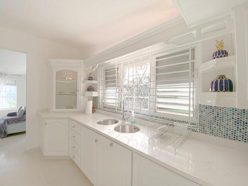 布里奇敦的住宿－Luxury 4 Bed Villa in Barbados with amazing views，白色的厨房设有水槽和窗户