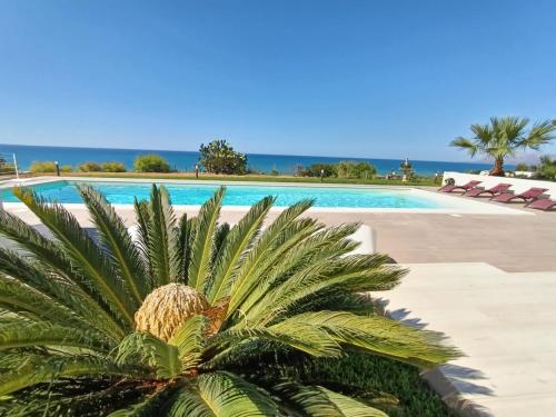 una palmera frente a una piscina en Villa Flo en Castellammare del Golfo