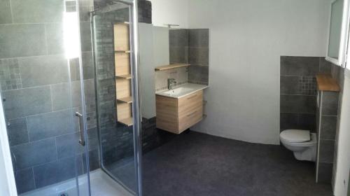 une salle de bain avec une douche, un lavabo et des toilettes dans l'établissement Villa loucontou, à Fort-Mahon-Plage