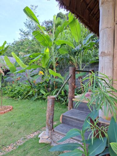 a set of stairs in a garden with plants at Homestay field - bungalow, Ha giang loop tour, motorbikes rental in Ha Giang