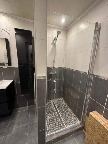 een badkamer met een douche en een glazen deur bij BelloHome in La Bretagne