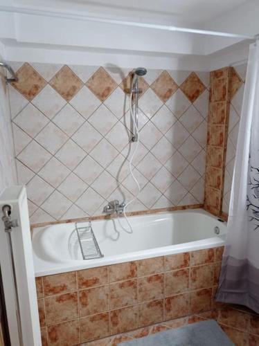 a bathroom with a bath tub with a shower at Trikala Alex House in Tríkala