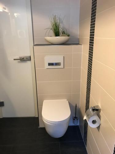 a bathroom with a toilet with a plant on top of it at Am Living Garden in Bad Pyrmont