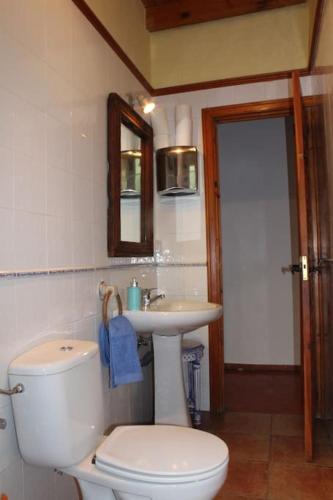 a bathroom with a toilet and a sink at El Rincon del Tejo in Herreros