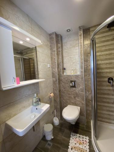 a bathroom with a sink and a toilet and a shower at Apartmani Krsic 5477399 in Palisat