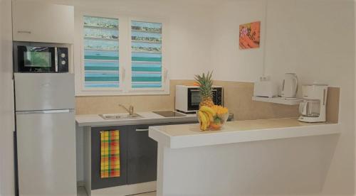 a kitchen with a refrigerator and a counter top at LES KOKI VILLA MOJITO in Saint-François