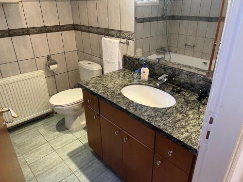 a bathroom with a sink and a toilet at Charming 1800s House - Lefkara Village Retreat in Pano Lefkara