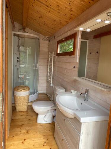 une petite salle de bain avec toilettes et lavabo dans l'établissement Villa piscine bord de foret, à Mimizan