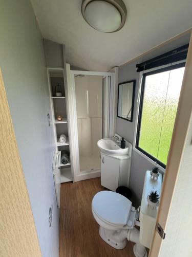 a bathroom with a toilet and a sink and a window at Cornish Dreams in Newquay