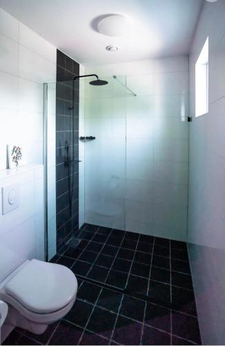 a bathroom with a toilet and a glass shower at Romantisch Vakantiehuis de Hooiberg in Berkenwoude