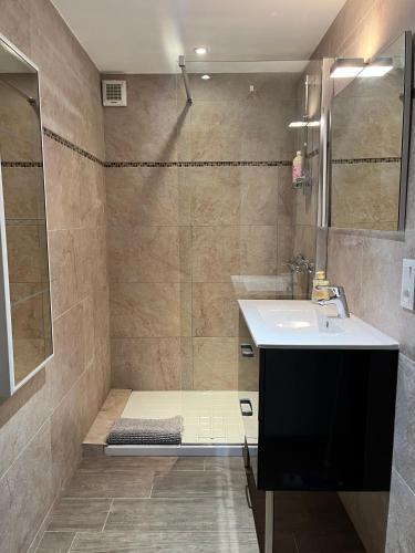 une salle de bain avec un lavabo et une douche dans l'établissement Appartement 2 chambres avec jardin, au Thoronet
