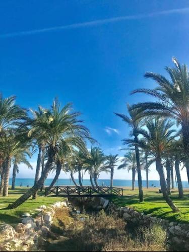 Torremolinos Los Alamos Beach Malaga VUTMA63286