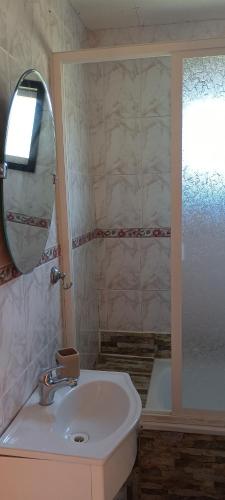 a bathroom with a sink and a mirror and a shower at CABAÑA HUALAIHUE AUSTRAL in Hornopiren