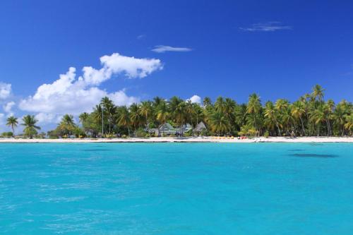 a view of a beach with palm trees and blue water at Fafarua Private Island in Tikehau