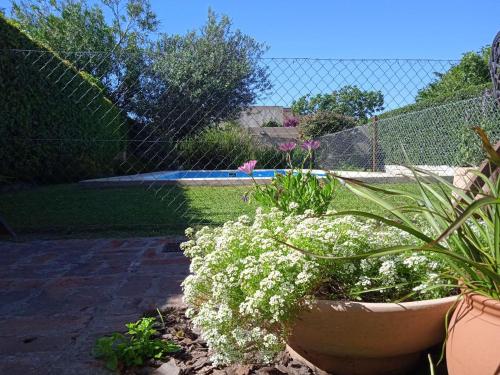 Casa Los Trinos في لوبوس: حديقة بها سياج وبعض الزهور البيضاء