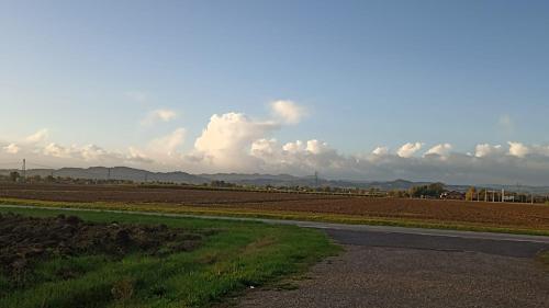 an empty road next to a field of crops at Appartamento B&B Cà Betty in Calderara di Reno