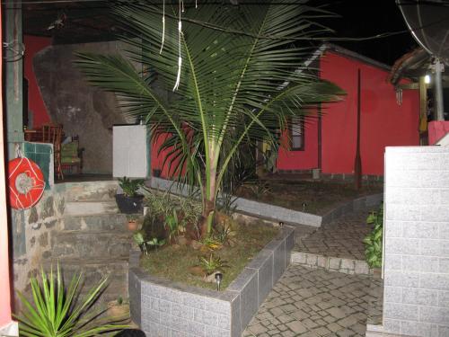 Taman di luar Suítes Cantinho da Pedra